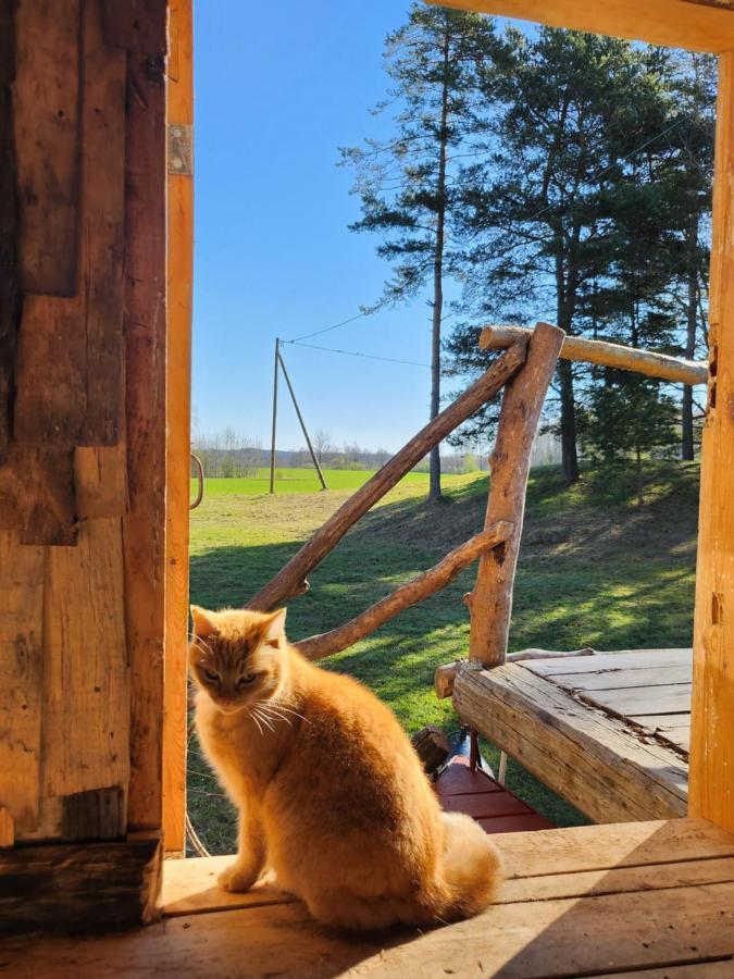 Baltas Raganinas Pirts Βίλα Sabile Εξωτερικό φωτογραφία
